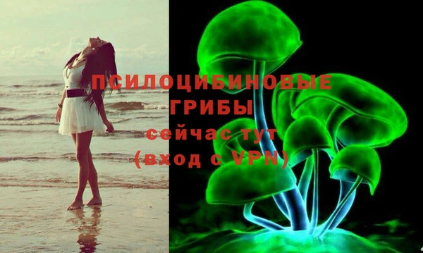 прущий лед Арсеньев